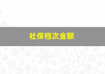 社保档次金额