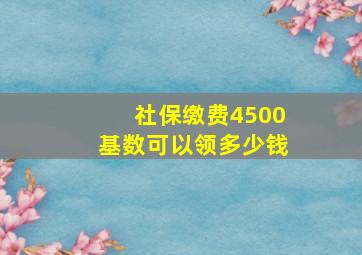 社保缴费4500基数可以领多少钱