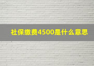 社保缴费4500是什么意思