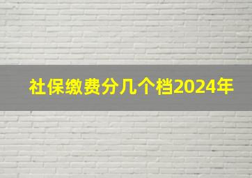 社保缴费分几个档2024年