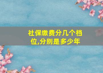 社保缴费分几个档位,分别是多少年