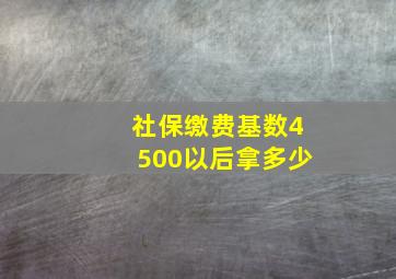 社保缴费基数4500以后拿多少