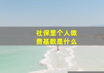 社保里个人缴费基数是什么