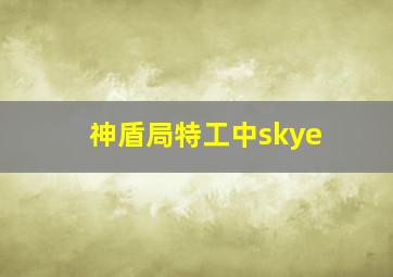 神盾局特工中skye