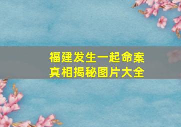 福建发生一起命案真相揭秘图片大全