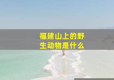 福建山上的野生动物是什么