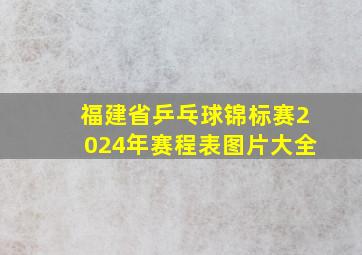 福建省乒乓球锦标赛2024年赛程表图片大全