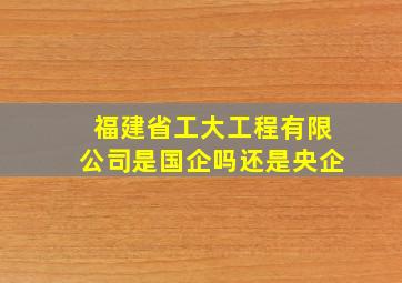 福建省工大工程有限公司是国企吗还是央企