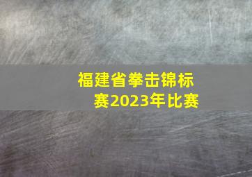 福建省拳击锦标赛2023年比赛