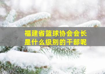 福建省篮球协会会长是什么级别的干部呢