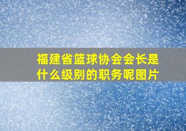 福建省篮球协会会长是什么级别的职务呢图片