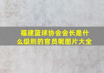 福建篮球协会会长是什么级别的官员呢图片大全