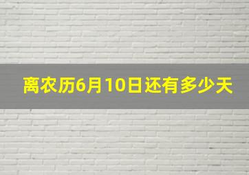 离农历6月10日还有多少天