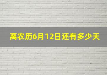 离农历6月12日还有多少天