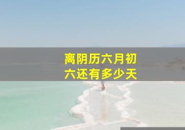 离阴历六月初六还有多少天