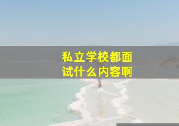 私立学校都面试什么内容啊