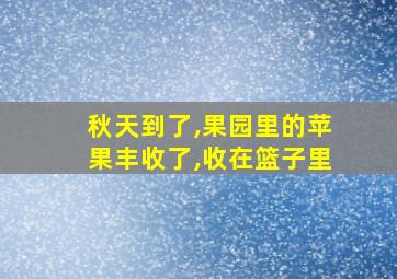 秋天到了,果园里的苹果丰收了,收在篮子里