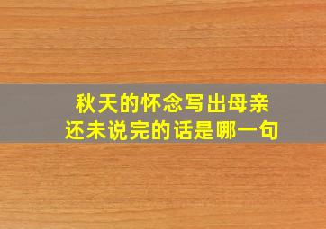 秋天的怀念写出母亲还未说完的话是哪一句