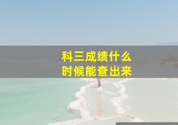 科三成绩什么时候能查出来