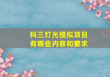 科三灯光模拟项目有哪些内容和要求