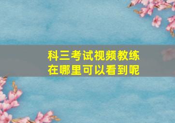 科三考试视频教练在哪里可以看到呢