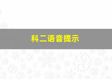 科二语音提示