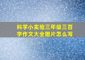 科学小实验三年级三百字作文大全图片怎么写