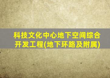 科技文化中心地下空间综合开发工程(地下环路及附属)