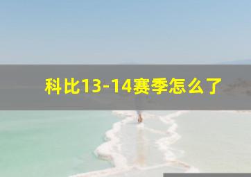 科比13-14赛季怎么了