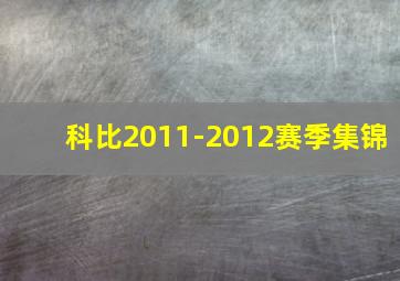 科比2011-2012赛季集锦