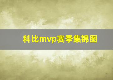 科比mvp赛季集锦图