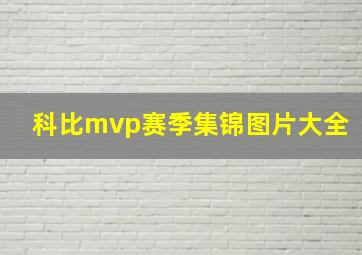 科比mvp赛季集锦图片大全