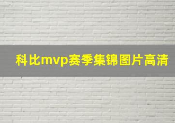 科比mvp赛季集锦图片高清