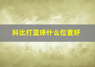 科比打篮球什么位置好