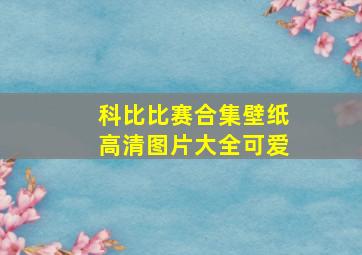 科比比赛合集壁纸高清图片大全可爱