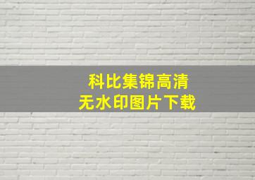 科比集锦高清无水印图片下载