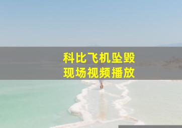 科比飞机坠毁现场视频播放