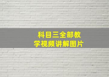 科目三全部教学视频讲解图片