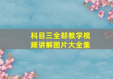 科目三全部教学视频讲解图片大全集