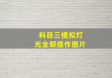 科目三模拟灯光全部操作图片