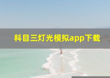 科目三灯光模拟app下载