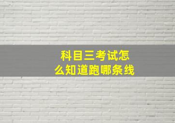 科目三考试怎么知道跑哪条线