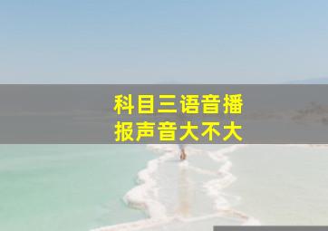 科目三语音播报声音大不大