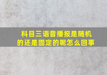 科目三语音播报是随机的还是固定的呢怎么回事