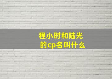 程小时和陆光的cp名叫什么