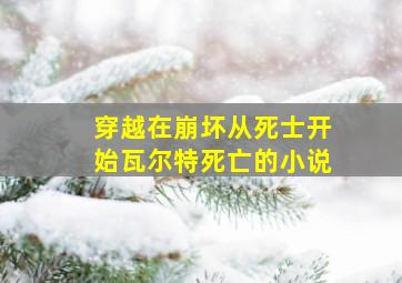 穿越在崩坏从死士开始瓦尔特死亡的小说