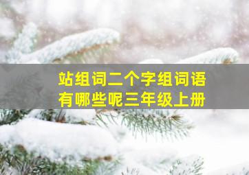 站组词二个字组词语有哪些呢三年级上册