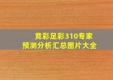 竞彩足彩310专家预测分析汇总图片大全