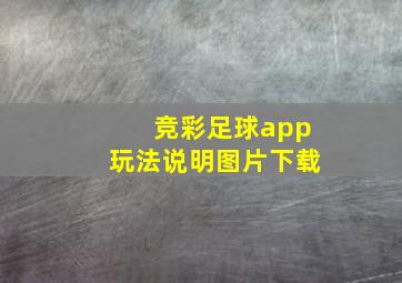 竞彩足球app玩法说明图片下载