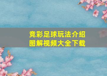 竞彩足球玩法介绍图解视频大全下载